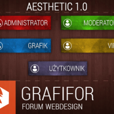 AESTHETIC 1.0