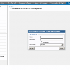 Professional database management 1.1